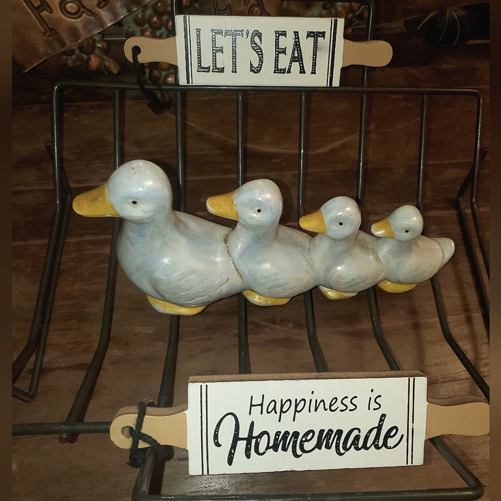 Ducks and Dish rack W/ Extras